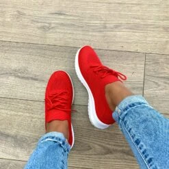 Legend PALMO05 - RED